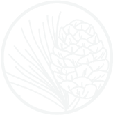 Evergreen Atlanta Logo