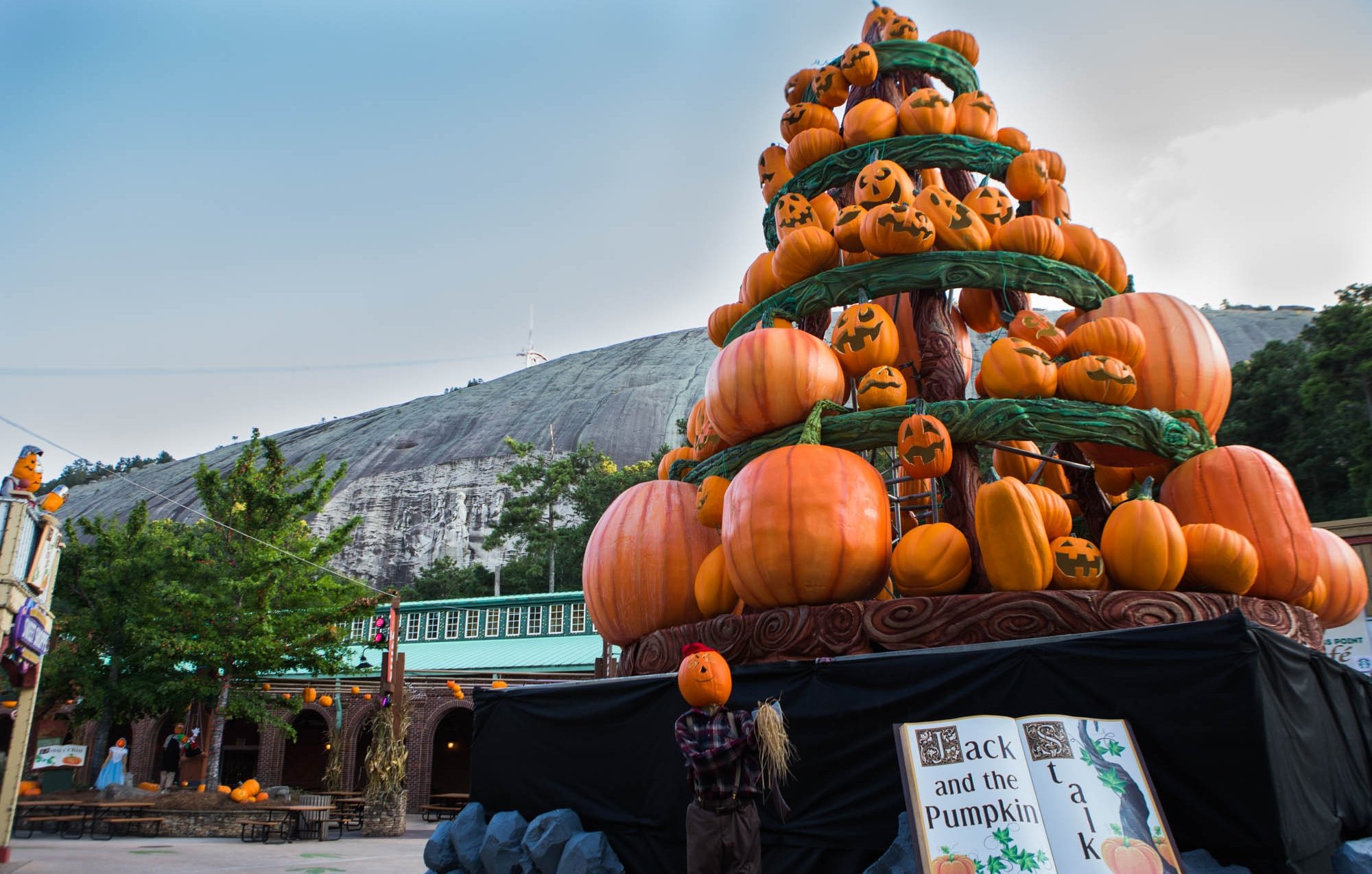 pumpkins piled high